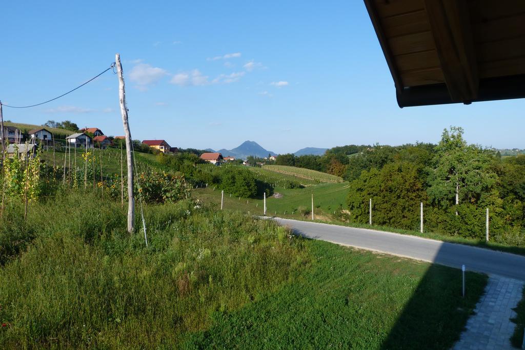 Guest House Eco Vila Mila Rogaska Slatina Exterior photo